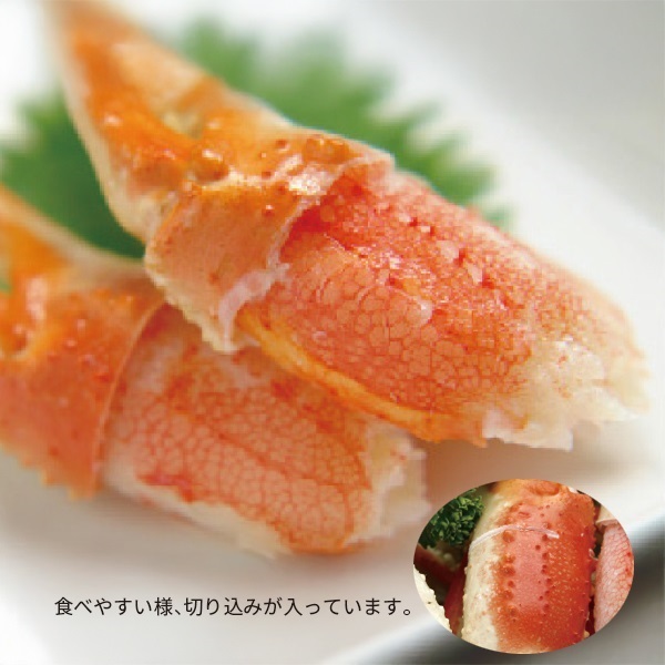 ズワイ殻付爪
