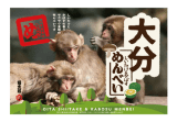 大分めんべい